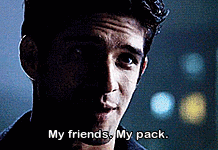 tw - 6x20 - my friends my pack